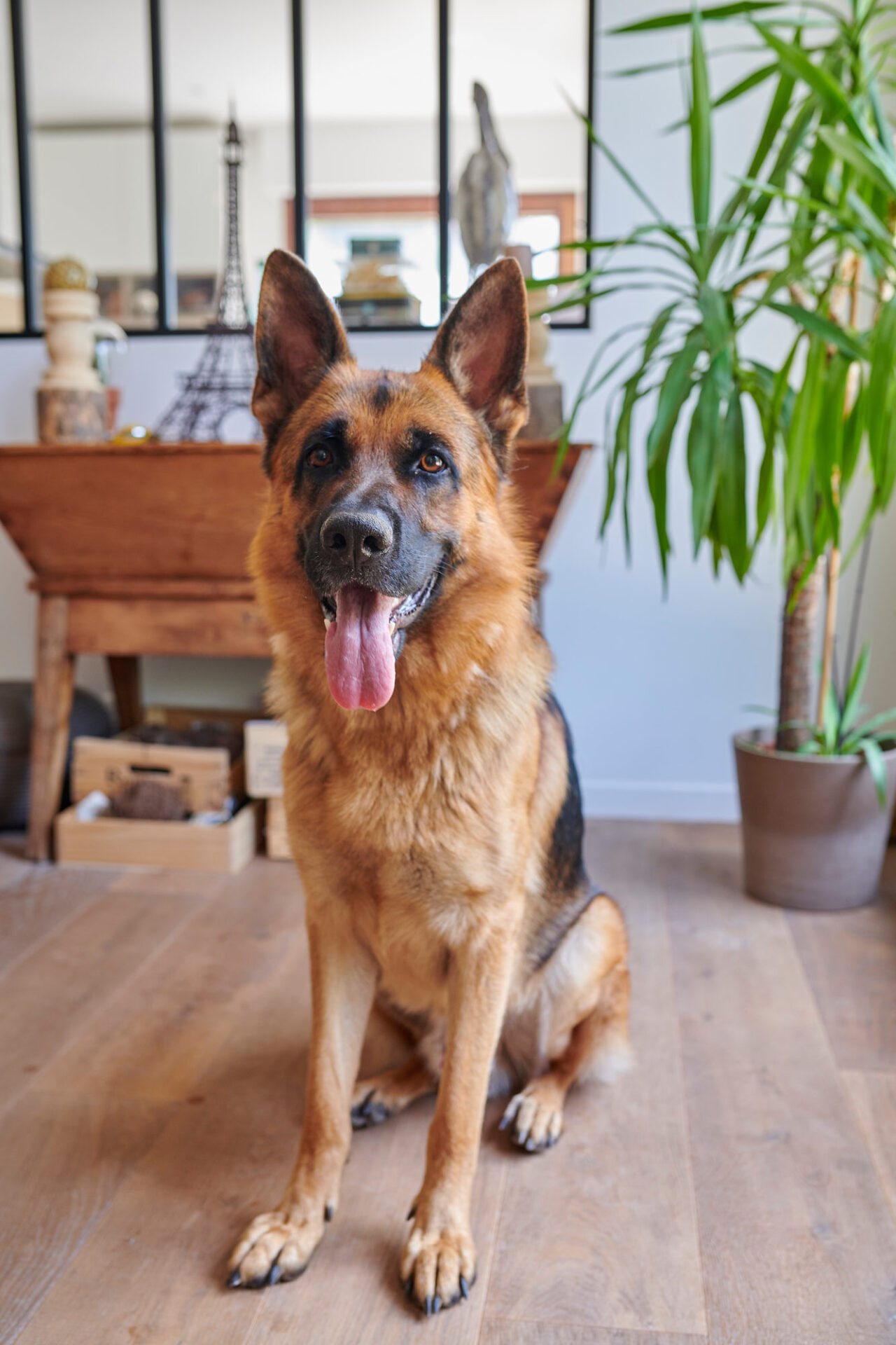 Elena & Laurent 0011b