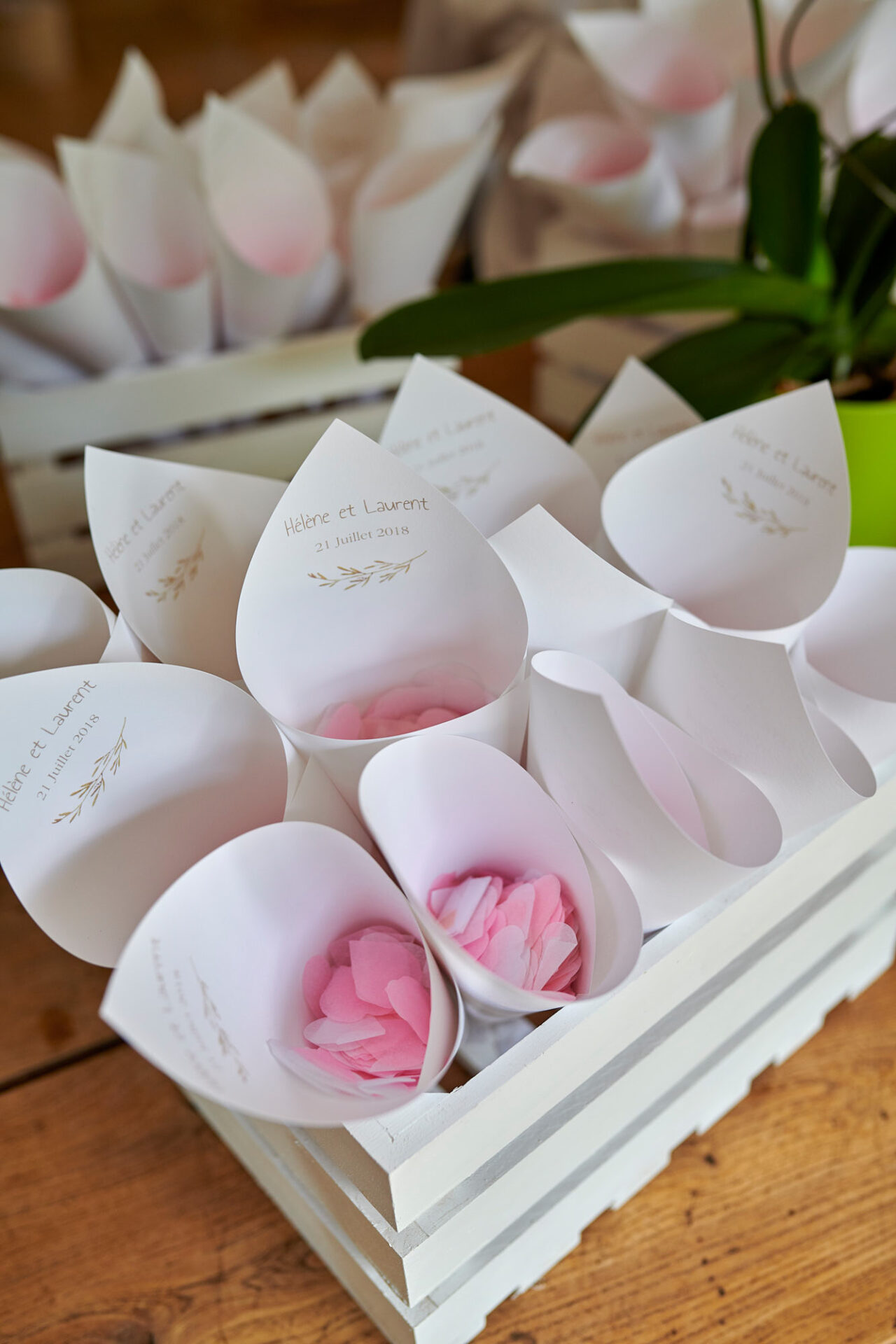 Elena & Laurent 0056b