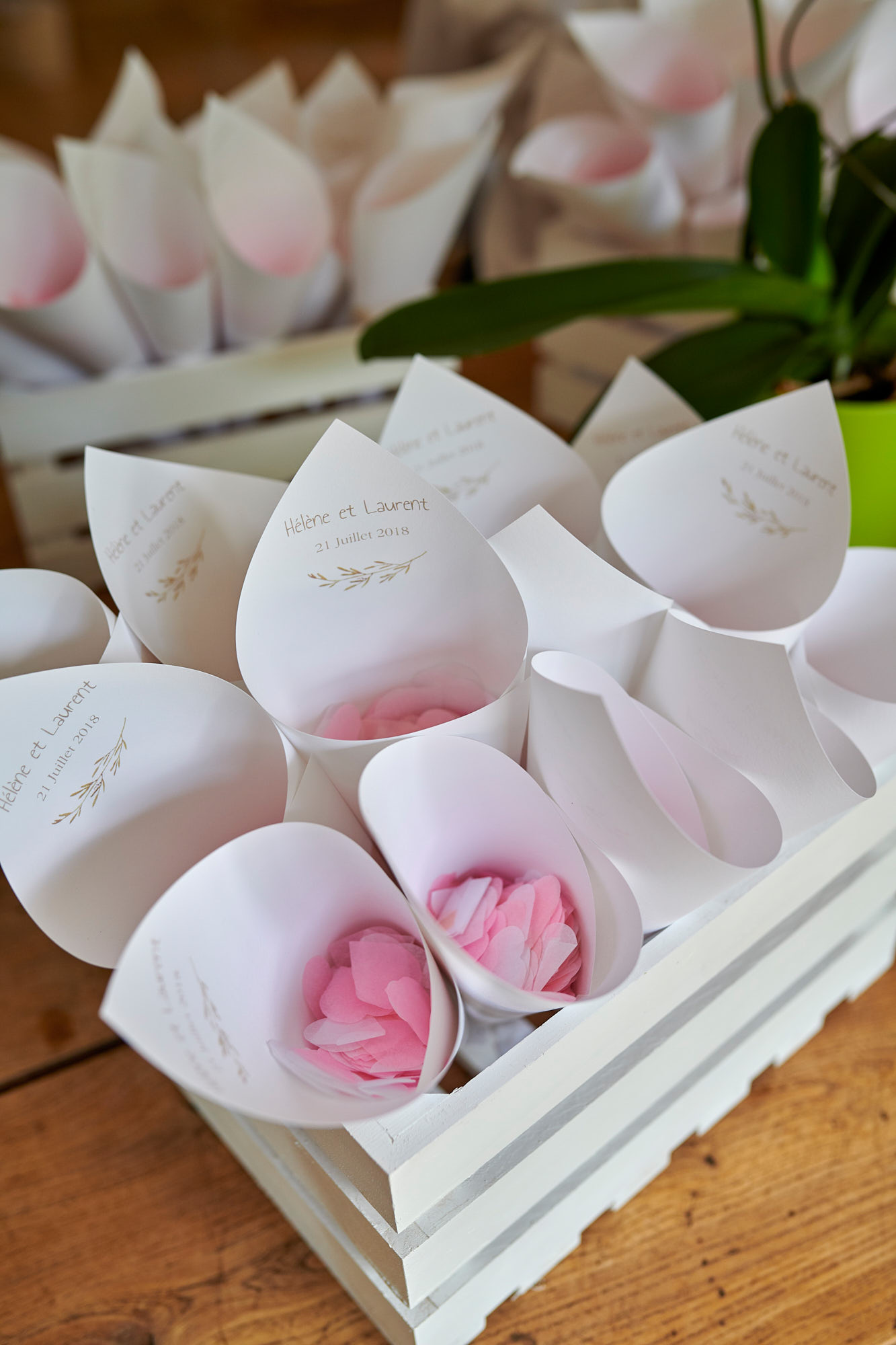 Elena & Laurent 0056b