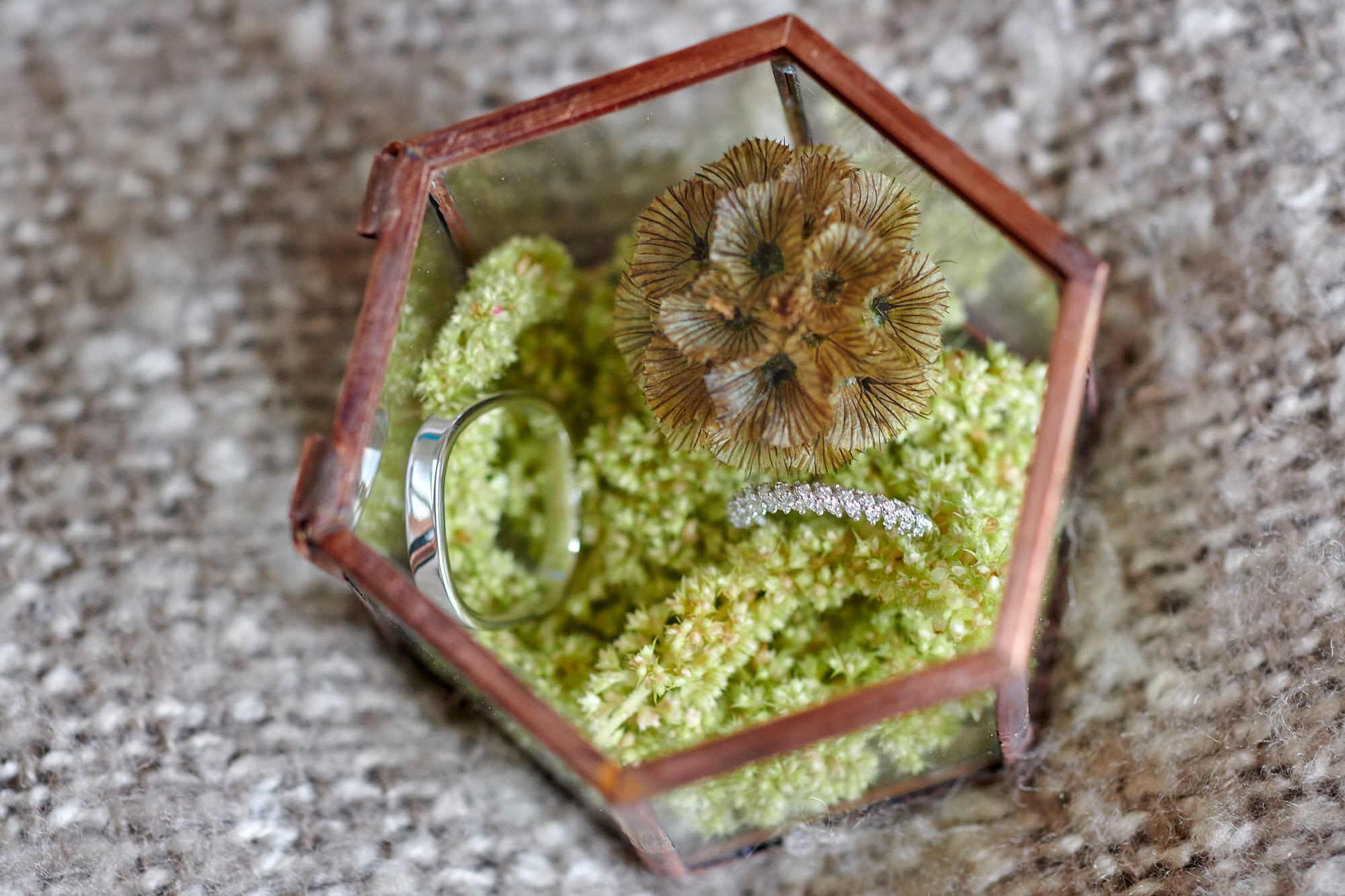 Elena & Laurent 0089b