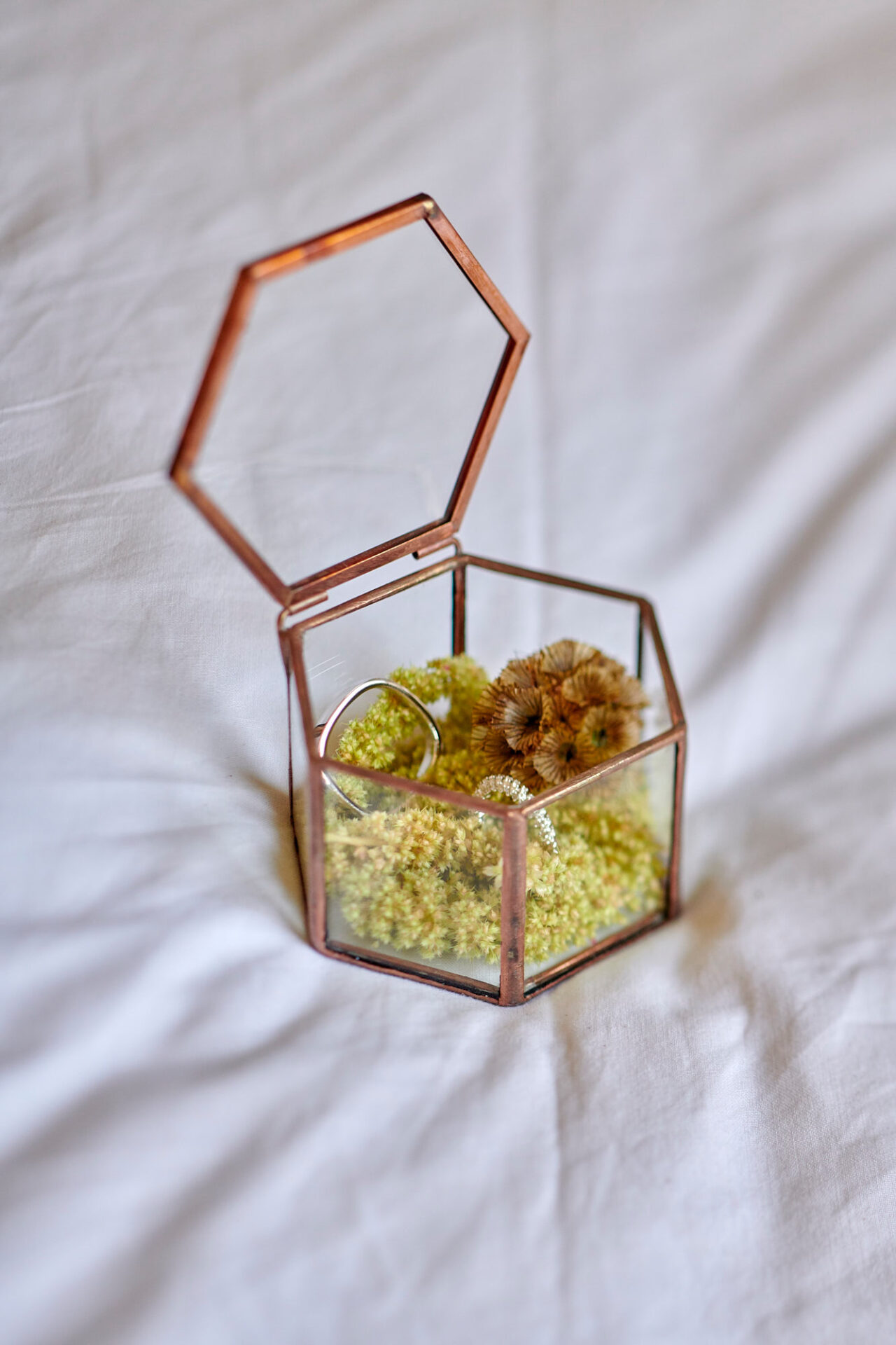 Elena & Laurent 0092b